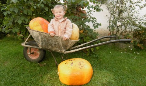 Čelákovský Helloween  11/22