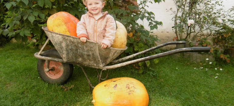 Čelákovský Helloween  11/22