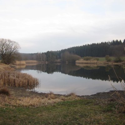 Dražský rybník