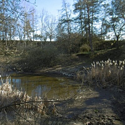 Wágnerův lom (200 m od rozhledny při cestě do Čelákov)