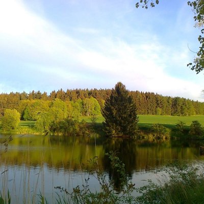 Dražský rybník