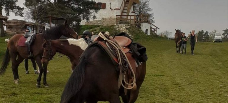 Koňovýlet 29.3.24